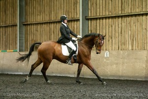 Isis Dressage Crown Farm Show 29th April 2012